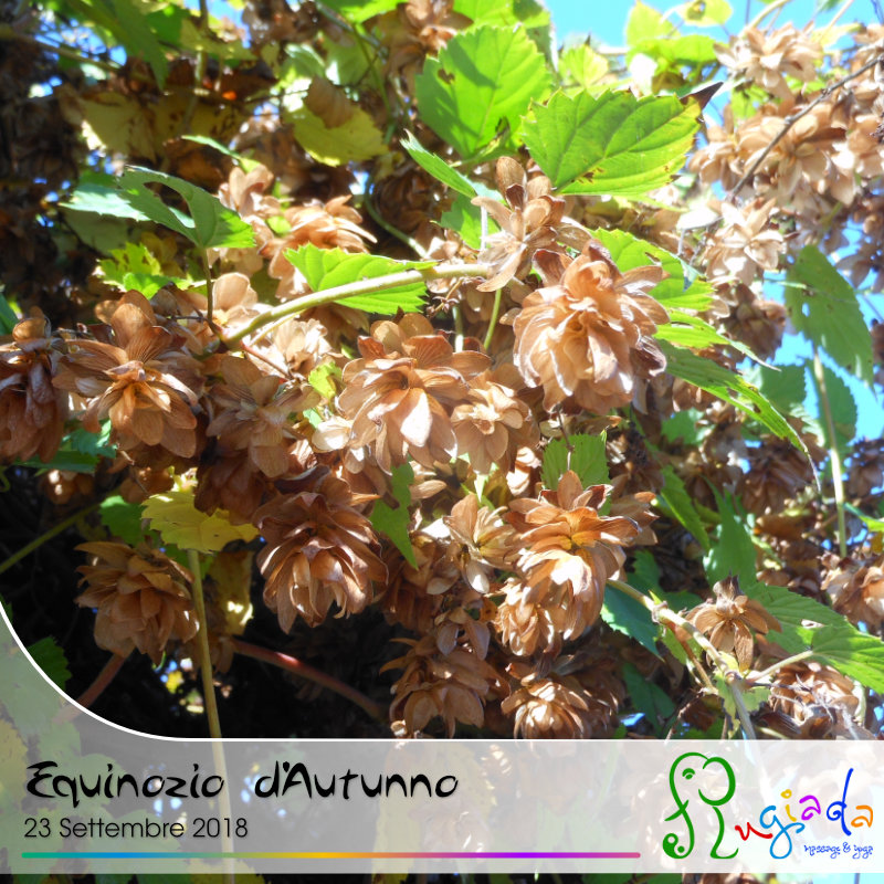 Equinozio D’Autunno